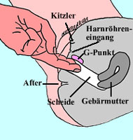 G-Punkt Stelle