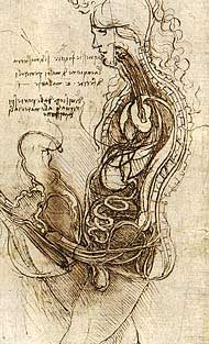 Zeichnung zum Geschlechtsverkehr von Leonardo da Vinci (ca. 1492)