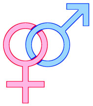 Heterosexuell - Heterosexualität - Hetero