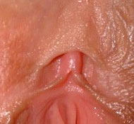 Kitzler - Klitoris (Glans Clitoris)