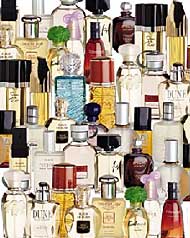 Pheromone werden heutzutage teilweise den Parfums beigemischt